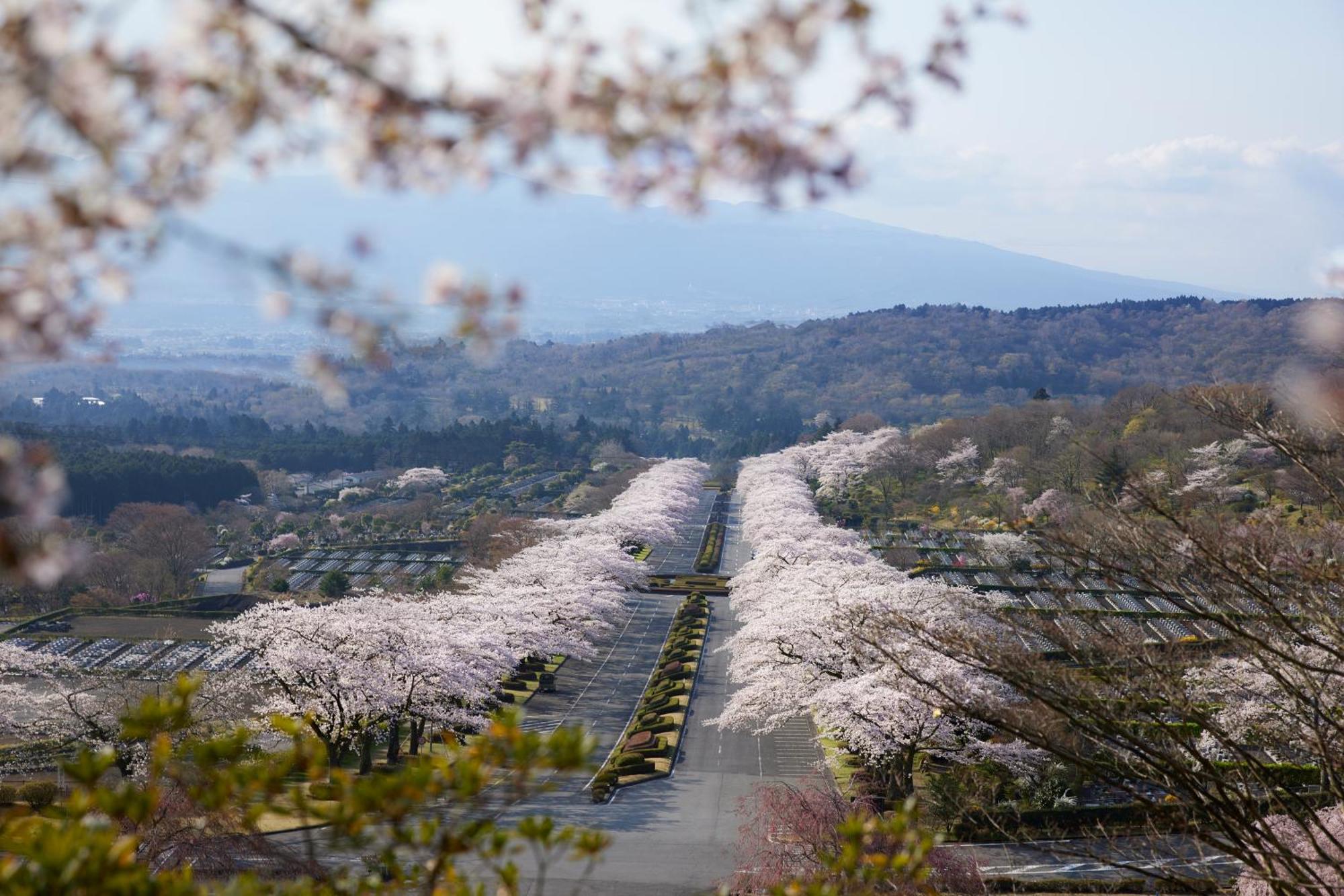 Fuji Speedway Hotel, In The Unbound Collection By Hyatt Oyama  Экстерьер фото